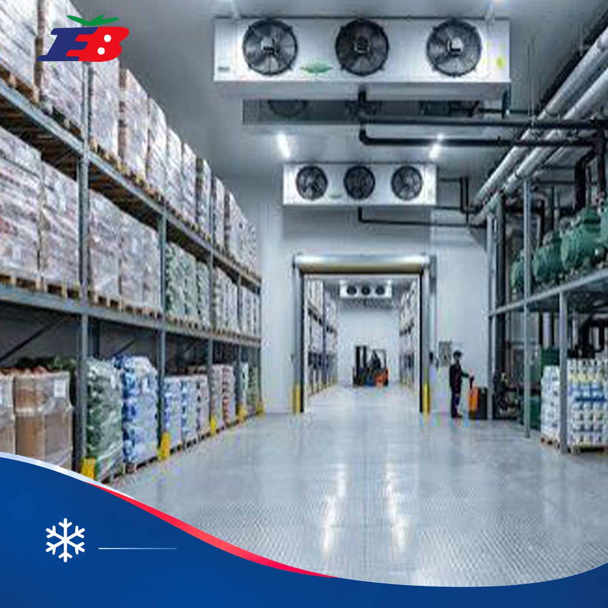 تجهیزات برودتی و اواپراتور سقفی سردخانه صنعتی
